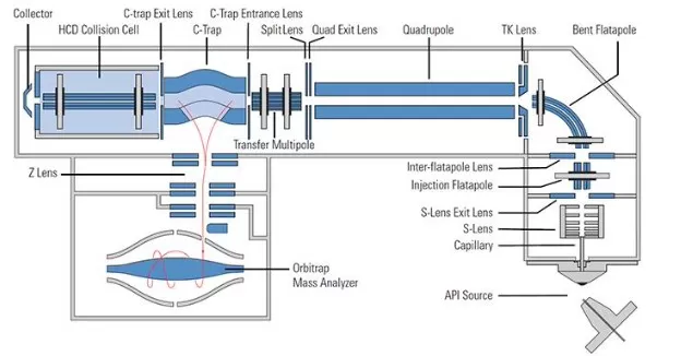 Q Exactive Hybrid Quadrupole Orbitrap Mass Spectrometer Structure